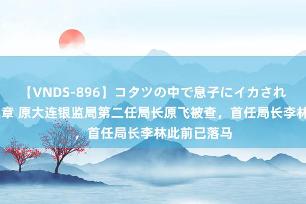 【VNDS-896】コタツの中で息子にイカされる義母 第二章 原大连银监局第二任局长原飞被查，首任局长李林此前已落马