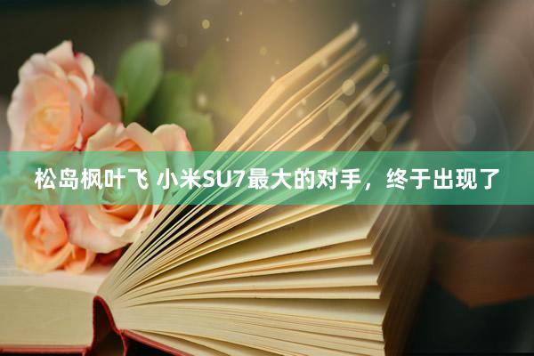松岛枫叶飞 小米SU7最大的对手，终于出现了