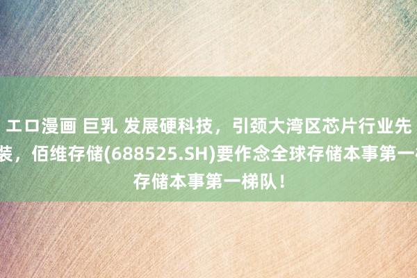 エロ漫画 巨乳 发展硬科技，引颈大湾区芯片行业先进封装，佰维存储(688525.SH)要作念全球存储本事第一梯队！